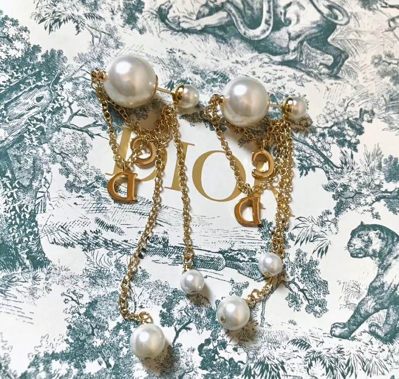 Dior Earring 03lyr171